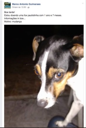 marco-antonio-guimara%cc%83es